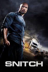 Snitch (2013) Dual Audio [Hindi ORG-English] BluRay H264 AAC 1080p 720p 480p ESub