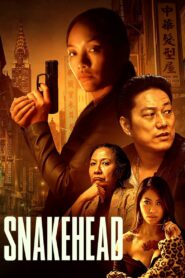 Snakehead (2021) Dual Audio [Hindi ORG-English] Amazon WEB-DL H264 AAC 1080p 720p 480p ESub