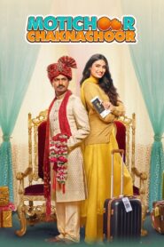 Motichoor Chaknachoor (2019) Hindi Netflix WEB-DL H264 AAC 1080p 720p 480p ESub