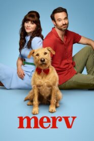 Merv (2025) Dual Audio [Hindi ORG-English] Amazon WEB-DL H264 AAC 4K 1080p 720p 480p ESub