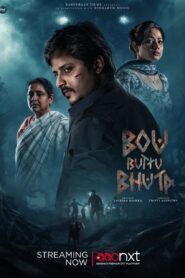 Bou Buttu Bhuta (2025) Odia AaoNxT WEB-DL H264 AAC 4K 1080p 720p 480p ESub