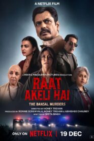 Raat Akeli Hai (2020) Hindi Netflix WEB-DL H264 AAC 4K 1080p 720p 480p ESub
