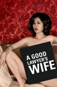 A Good Lawyer’s Wife (2003) Korean BluRay H264 AAC 1080p 720p ESub