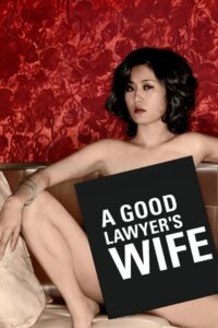 A Good Lawyer’s Wife (2003) Korean BluRay H264 AAC 1080p 720p ESub