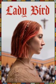 Lady Bird (2017) Dual Audio [Hindi ORG-English] BluRay H264 AAC 1080p 720p 480p ESub