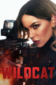 Wildcat (2025) Dual Audio [Hindi ORG-English] LP WEB-DL H264 AAC 1080p 720p 480p ESub