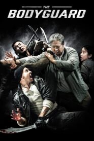 My Beloved Bodyguard (2016) Dual Audio [Hindi ORG-Chinese] BluRay H264 AAC 1080p 720p 480p ESub