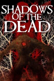 Shadows Of The Dead (2016) Dual Audio [Hindi ORG-English] WEB-DL H264 AAC 1080p 720p 480p ESub