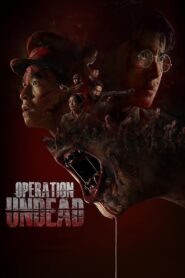 Operation Undead (2024) Dual Audio [Hindi ORG-Korean] Amazon WEB-DL H264 AAC 1080p 720p 480p ESub