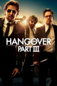 The Hangover Part III (2013) Dual Audio [Hindi ORG-English] BluRay H264 AAC 1080p 720p 480p ESub