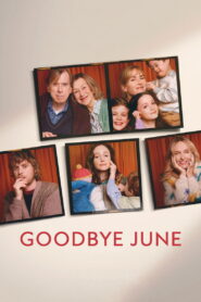 Goodbye June (2025) Dual Audio [Hindi ORG-English] Netflix WEB-DL H264 AAC 1080p 720p 480p ESub