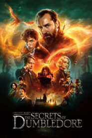 Fantastic Beasts: The Secrets of Dumbledore (2022) Dual Audio [Hindi ORG-English] AMZN WEB-DL H264 AAC 1080p 720p 480p ESub