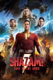 Shazam! Fury of the Gods (2023) Dual Audio [Hindi ORG-English] BluRay H264 AAC 4K 1080p 720p 480p ESub