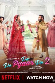 De De Pyaar De 2 (2025) Hindi Netflix WEB-DL H264 4K 1080p 720p 480p ESub
