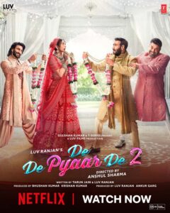 De De Pyaar De 2 (2025) Hindi Netflix WEB-DL H264 4K 1080p 720p 480p ESub