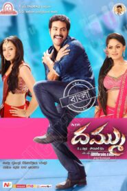 Dhammu (2012) Bengali Dubbed ORG WEB-DL H264 AAC 1080p 720p 480p Download