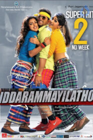 Iddarammayilatho (2013) Bengali Dubbed ORG WEB-DL H264 AAC 1080p 720p 480p Download