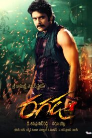 Ragada (2010) Hindi ORG Amazon WEB-DL H264 AAC 1080p 720p 480p ESub