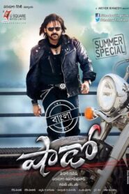 Shadow (2013) Bengali Dubbed ORG WEB-DL H264 AAC 1080p 720p 480p Download