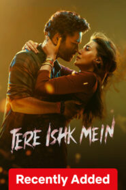 Tere Ishk Mein (2025) Dual Audio [Hindi ORG-Tamil] Netflix WEB-DL H264 AAC 4K 1080p 720p 480p ESub
