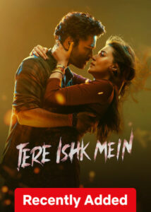 Tere Ishk Mein (2025) Dual Audio [Hindi ORG-Tamil] Netflix WEB-DL H264 AAC 4K 1080p 720p 480p ESub
