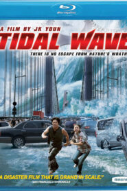 Tidal Wave (2009) Dual Audio [Hindi ORG-English] BluRay H264 AAC 1080p 720p 480p ESub