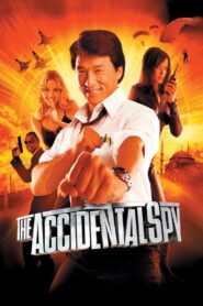 The Accidental Spy (2001) Dual Audio [Hindi ORG-Chinese] BluRay H264 AAC 1080p 720p 480p ESub