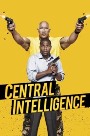 Central Intelligence (2016) Dual Audio [Hindi ORG-English] BluRay H264 AAC 1080p 720p 480p ESub