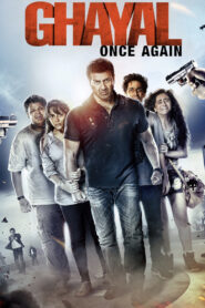 Ghayal Once Again (2016) Hindi WEB-DL H264 AAC 1080p 720p 480p ESub