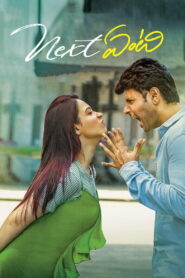Next Enti (2018) Uncut Dual Audio [Hindi ORG-Telugu] WEB-DL H264 AAC 1080p 720p 480p ESub