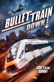 Bullet Train Down (2022) Dual Audio [Hindi ORG-English] BluRay H264 AAC 1080p 720p 480p ESub