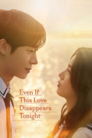 Even If This Love Disappears Tonight (2026) Dual Audio [Hindi ORG-Korean] Netflix WEB-DL H264 AAC 1080p 720p 480p ESub