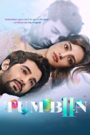 Tum Bin 2 (2016) Hindi Amazon WEB-DL H264 AAC 1080p 720p 480p ESub