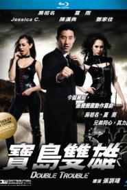 Double Trouble (2012) Dual Audio [Hindi ORG-Chinese] BluRay H264 AAC 1080p 720p 480p ESub