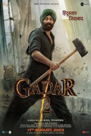Gadar 2 (2023) Hindi Amazon WEB-DL H264 AAC 4K 1080p 720p 480p ESub
