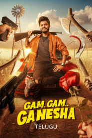 Gam Gam Ganesha (2024) Dual Audio [Hindi ORG-Telugu] Amazon WEB-DL H264 AAC 4K 1080p 720p 480p ESub
