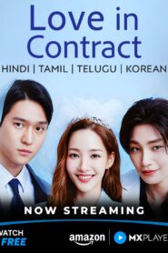 Love in Contract (2022) S01 Dual Audio [Hindi ORG-Korean] Amazon WEB-DL H264 AAC 1080p 720p 480p ESub