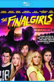 The Final Girls (2015) Dual Audio [Hindi ORG-English] BluRay H264 AAC 1080p 720p 480p ESub