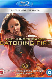 The Hunger Games: Catching Fire (2013) Dual Audio [Hindi ORG-English] BluRay H264 AAC 1080p 720p 480p ESub