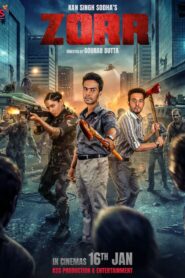 Zorr (2026) Hindi HDTC H264 AAC 1080p 720p 480p HC-ESub