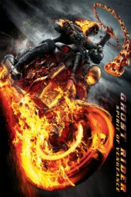 Ghost Rider Spirit of Vengeance (2011) Dual Audio [Hindi ORG-English] BluRay H264 AAC 1080p 720p 480p ESub