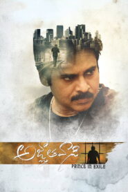 Yevadu 3-Agnyaathavaasi (2018) Hindi Dubbed ORG Amazon WEB-DL H264 AAC 1080p 720p 480p ESub