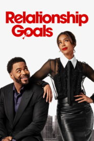 Relationship Goals (2026) Dual Audio [Hindi ORG-English] Amazon WEB-DL H264 AAC 1080p 720p 480p ESub