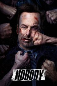 Nobody (2021) Dual Audio [Hindi ORG-English] BluRay H264 AAC 4K 1080p 720p 480p ESub