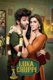 Luka Chuppi (2019) Hindi Netflix WEB-DL H264 AAC 1080p 720p 480p ESub
