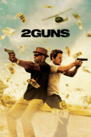 2 Guns (2013) Dual Audio [Hindi ORG-English] BluRay H264 AAC 1080p 720p 480p ESub