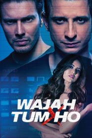 Wajah Tum Ho (2016) Hindi Amazon WEB-DL H264 AAC 1080p 720p 480p ESub