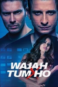 Wajah Tum Ho (2016) Hindi Amazon WEB-DL H264 AAC 1080p 720p 480p ESub