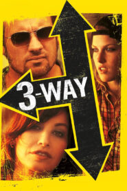Three Way (2004) Dual Audio [Hindi ORG-English] BluRay H264 AAC 720p 480p ESub