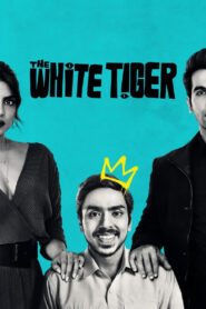 The White Tiger (2021) Dual Audio [Hindi ORG-English] Netflix WEB-DL H264 AAC 4K 1080p 720p 480p ESub